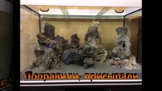 создание цихлидника
