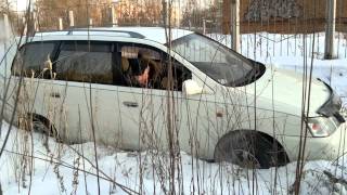 По снегу на GAIA