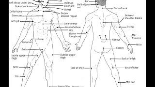 Karate-Do Core Principles - Sensei Rick Hotton [HD]
