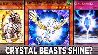 Crystal Beasts SHINE??? YuGiOh Duel Links PVP w/ ShadyPenguinn