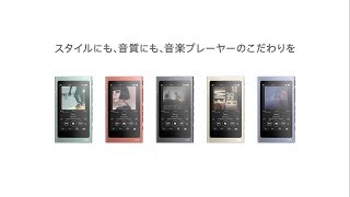 ウォークマン:NW-A40シリーズ【ソニー公式】
