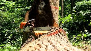 Cutting Woppers with tinker toys!!!