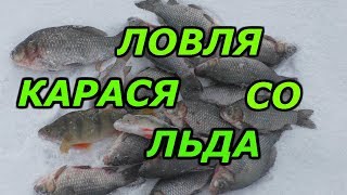 ловля карася зимой.зимняя рыбалка с ночёвкой.зимняя ловля карася.