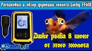 Обзор эхолота Lucky FF618. Эхолот-флешер Лаки FF618