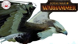 Dragon vs The Lion - Total War Warhammer Online Battle 161