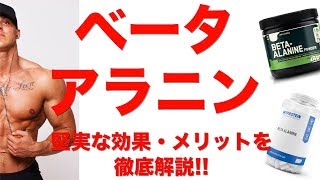 【ベータアラニン】堅実な効果と摂取するメリットを徹底解説!!