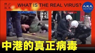 中國香港的真正病毒| #香港大紀元新唐人聯合新聞頻道