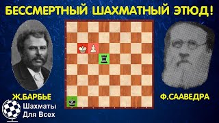 Шахматы. ЗНАМЕНИТЫЙ этюд Барбье и Сааведры!