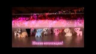 Маджики. Любимые собачки + Раскраски
