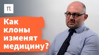 Клонирование как способ размножения — Денис Ребриков 