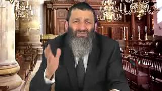 Недельная глава Ваикра