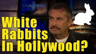 The Story Hollywood Does Not Want You To Hear!