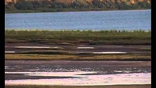 Пансионат БУДАКИ - КУРОРТНОЕ