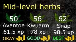 Runescape 2007 - Herb Farming Guide - Money Making Method to MAKE BANK!