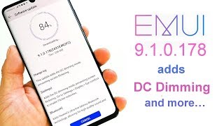 Huawei P30 Pro update (EMUI 9.1.0.178) brings DC Dimming, fingerprint, camera improvements