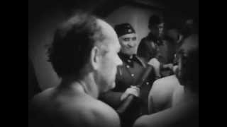 The Execution - Holocaust (Auschwitz)
