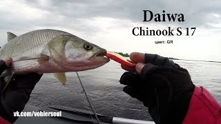Ловля жереха на колеблющуюся блесну. Daiwa - Chinook (17 грамм)