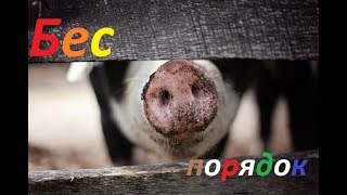 Беспорядок в доме-к упадку, лени, депрессии и потерям.