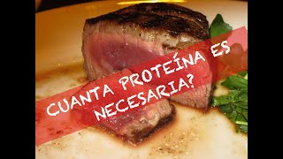 Cuanta Proteina es necesria segun  tu nivel?