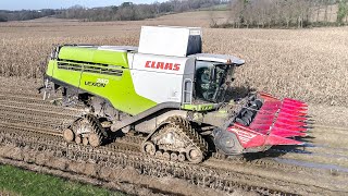 MOISSON DURANT NOËL ? 4 chenilles sur cette Lexion 740 ! L'entrepreneur nous donne les raisons