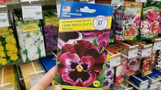 ?Спешите Леруа Мерлен 2019?ЗАВЕЗЛИ семена для САДА ОГОРОДА,ДАЧА, ЦВЕТЫ!Дачный сезон ОТКРЫТ! Декор