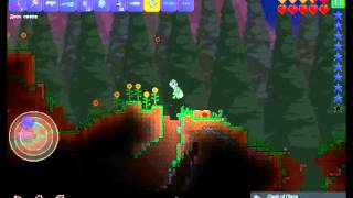 Как сделать крылья в ,, Terraria''