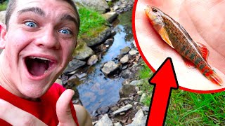 SAVING EXTREMELY RARE ENDANGERED FISH!!! - Operation Save The Minnows