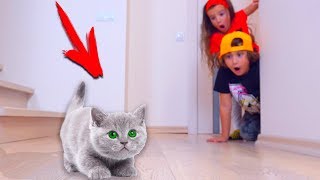 Аминка и Камиль СПАСАЮТ КОТЕНКА!