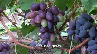 Чёрная скала
