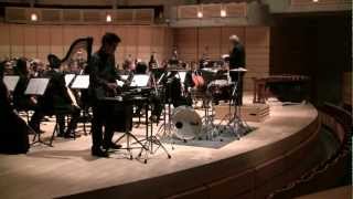 Jeremy Lawi - Jennifer Higdon's Percussion Concerto Cadenza