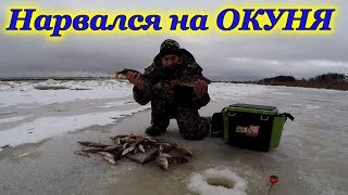Первый лёд 2018 - 2019 гг. Ловля крупного окуня на мормышку!!!