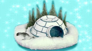 Igloo and Seals Make | Mister Maker