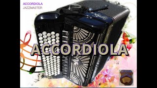 Итальянский баян- Accordiola Jazzmaster- made in Italy.