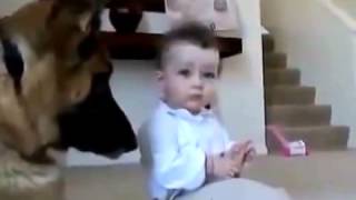 Смешное видео. Ребенок забирает у собаки еду