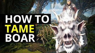 Dark and Light - How To Tame Boar (DNL Guide)