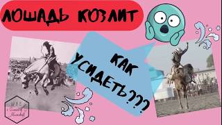 ЛОШАДЬ КОЗЛИТ! КАК УСИДЕТЬ?