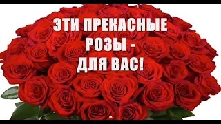 Большие букеты роз - самые красивые! Прекрасная музыкальная открытка из роз!