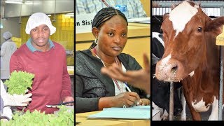Nurturing Agribusiness Investors - Primary Production Program