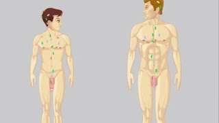 How to Enlarge Penis Size - Enlarge Your Penis Size Naturally at Home