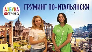 Груминг салон в Италии. Как стригут собак в Риме?
