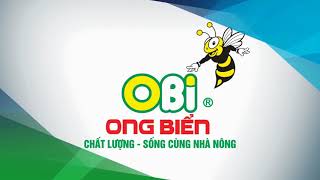 Phân bón Ong Biển - Quy mô của Nhà máy Sản xuất phân bón hàng đầu thế giới