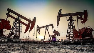 Oil Companies BEG The Government To Save Them From Climate Change