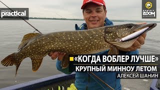 "Когда воблер лучше."  Крупный минноу летом.  Алексей Шанин