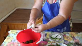Малосольные огурчики. Как сделать малосольные огурцы: быстро и вкусно.