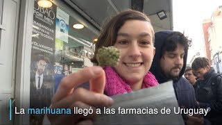 La marihuana llegó a farmacias de Uruguay