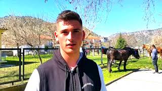 Greek Nature animals -Horses -Καουμπόηδες του Ιππικού Ομίλου Τυρνάβου στο Δαμάσι για Άγιο Θεόδωρο #2