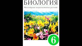 § 16 Фотосинтез