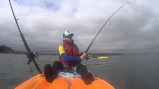 Kayak Fishing in Army Bay, Auckland, New Zealand