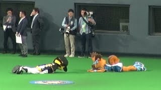 180613 タイガースの1-9を抜け出して、ポリーに挨拶するトラッキー