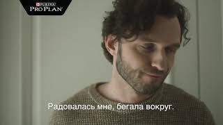 Корма Pro Plan (Про План) для собак